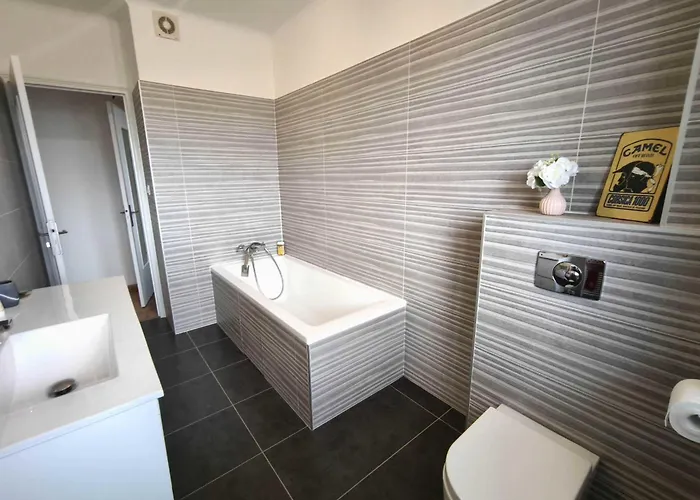 Charming T3 With Balconies In Appartement Ajaccio (Corsica)